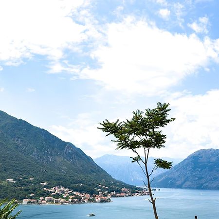 Apartament Animil 1 Kotor Zewnętrze zdjęcie