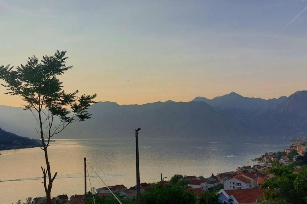 Apartament Animil 1 Kotor Zewnętrze zdjęcie