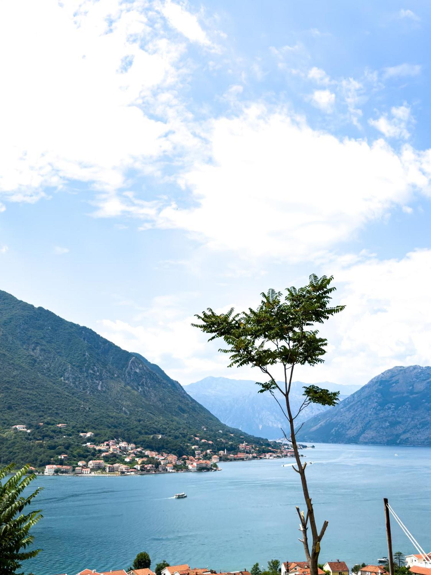 Apartament Animil 1 Kotor Zewnętrze zdjęcie